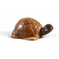 Tortue