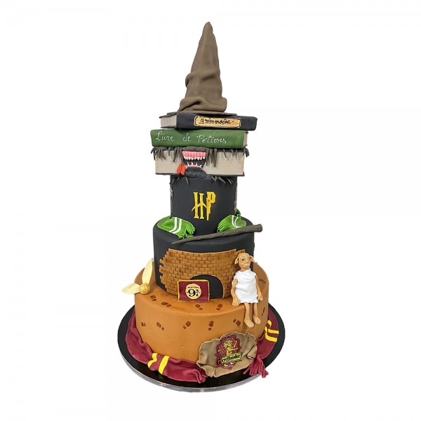 Gâteau Harry Potter anniversaire