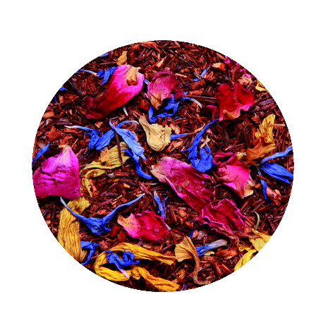 Fruits & Fleurs du soleil