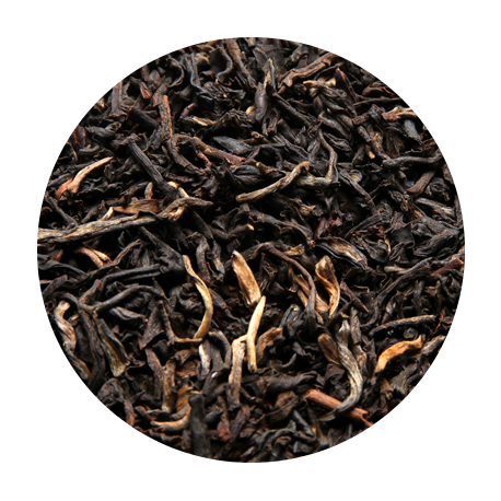 Grand Yunnan