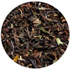 Darjeeling Himalaya