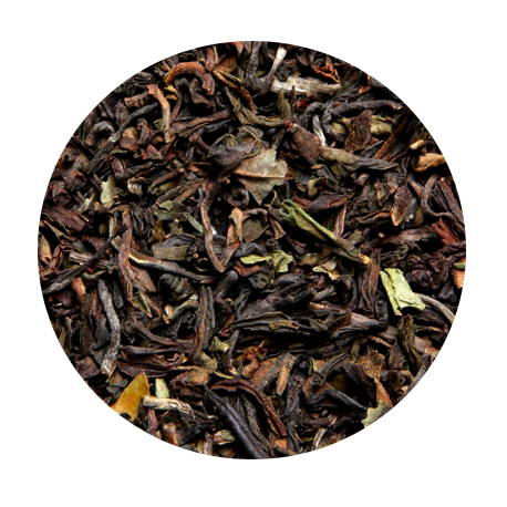 Darjeeling Himalaya