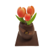 Bouquet de Tulipe - Vincent Besnard Chocolatier Pâtissier