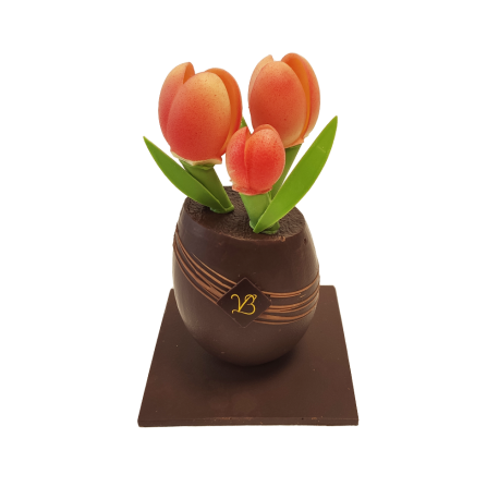 Bouquet de Tulipe