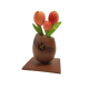 Bouquet de Tulipe