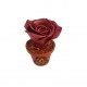 Rose en pot - Vincent Besnard Chocolatier-Pâtissier