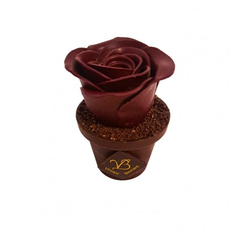 Rose en pot - Vincent Besnard Chocolatier-Pâtissier