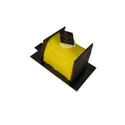 Buchette Intense Citron de Nice - Vincent Besnard Chocolatier Pâtissier