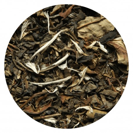 Thé des Neiges